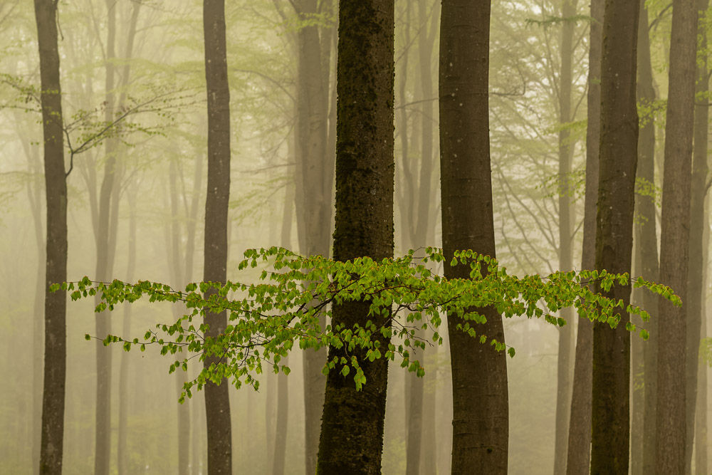 Platz 7 Michael Mayer